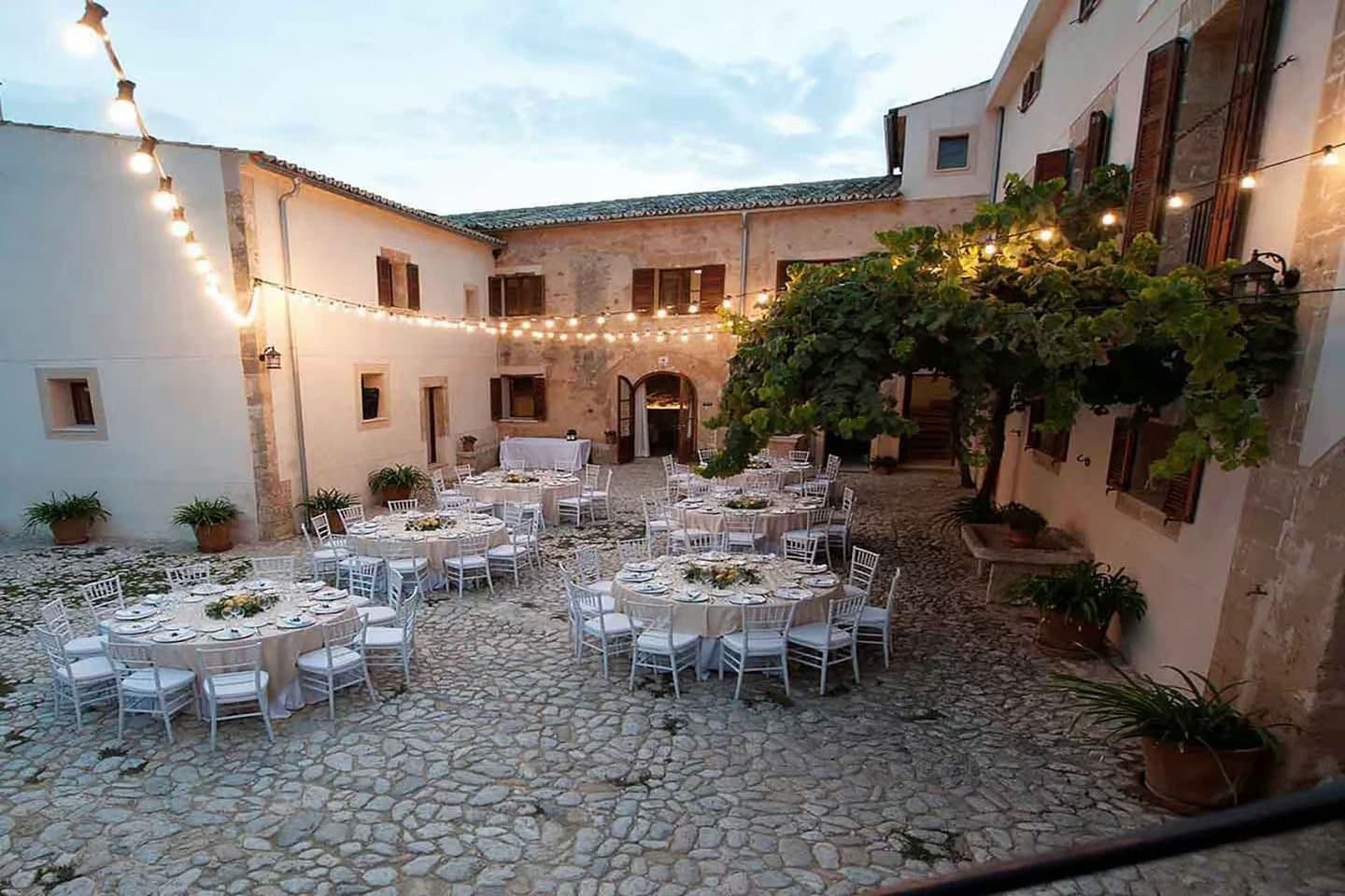 Gallery image 19
