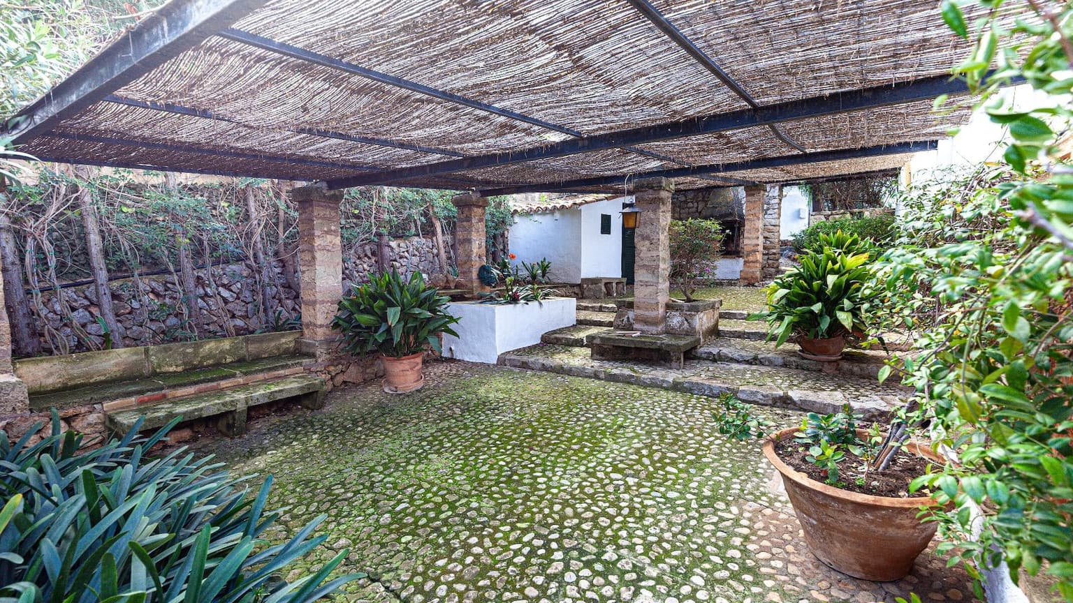 Gallery image 10