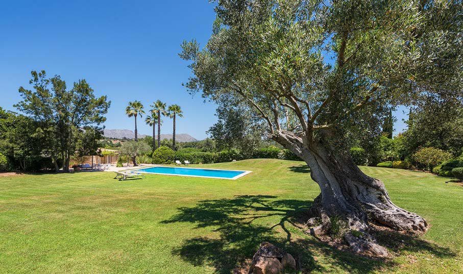 Spectacular Estate in the North of Mallorca - Gallery image 7