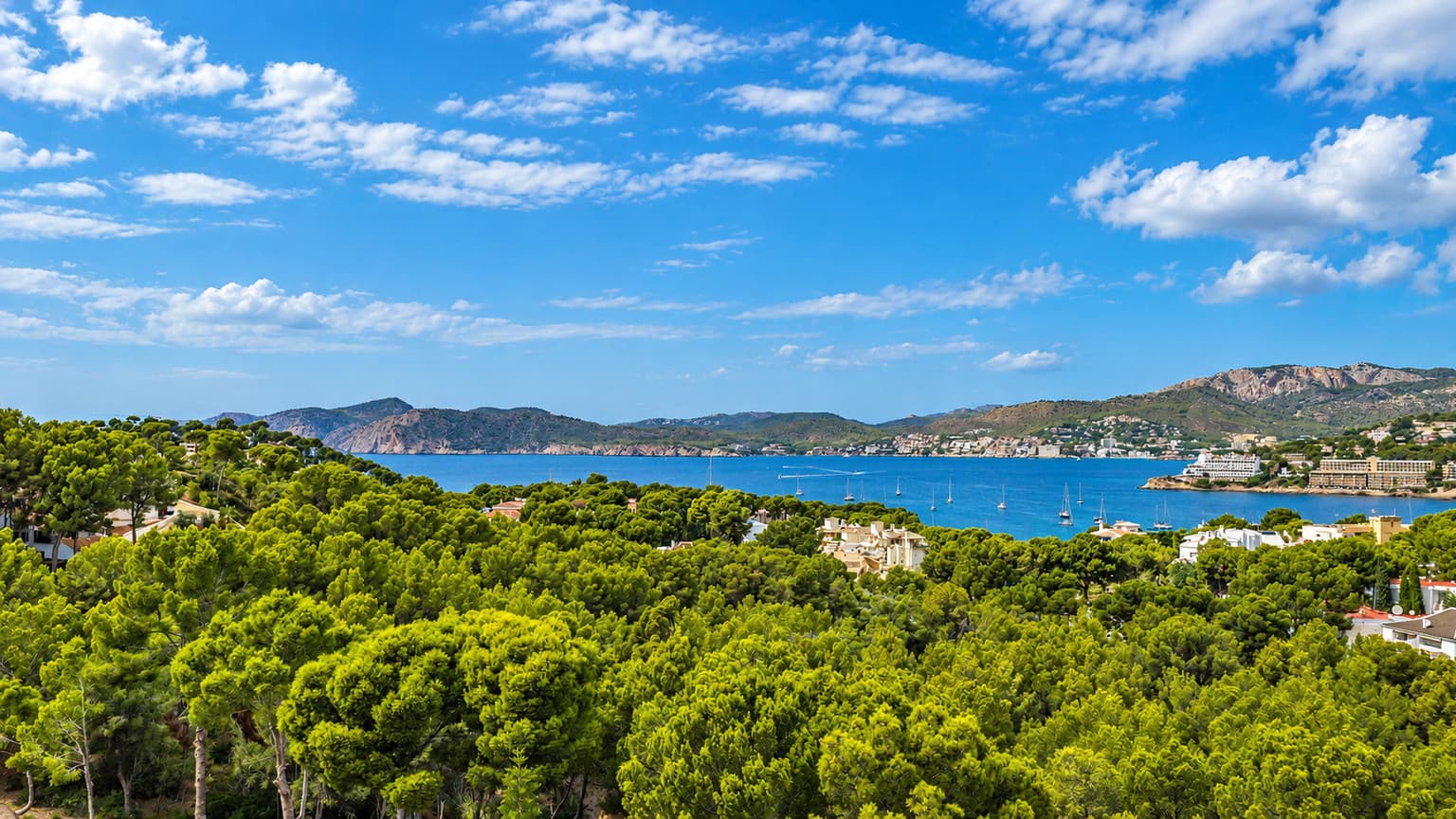 Modern Villa with Sea Views Beside a Protected Nature Reserve in Santa Ponça - Gallery image 43