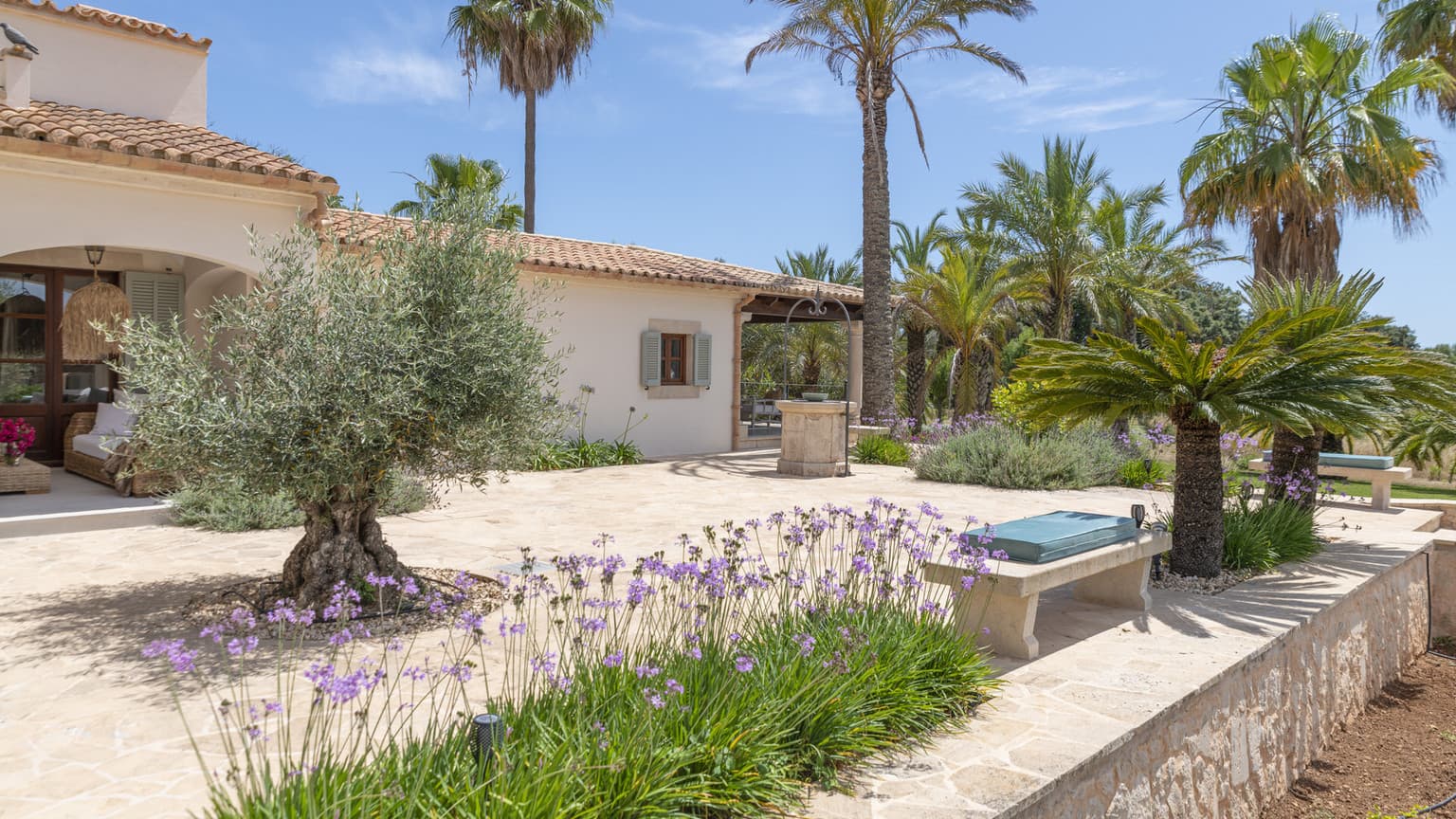Modern Six Bedroom Finca in Sunny Felanitx - Gallery image 31