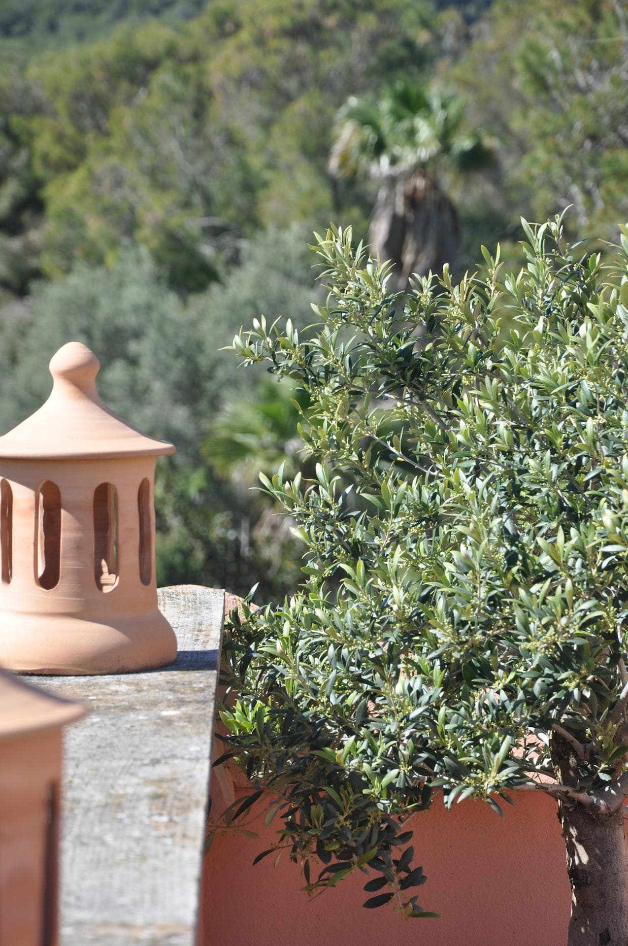 Modern 2 Bedroom Apartment in Prestigious Bendinat for seasonal rent - Gallery image 8