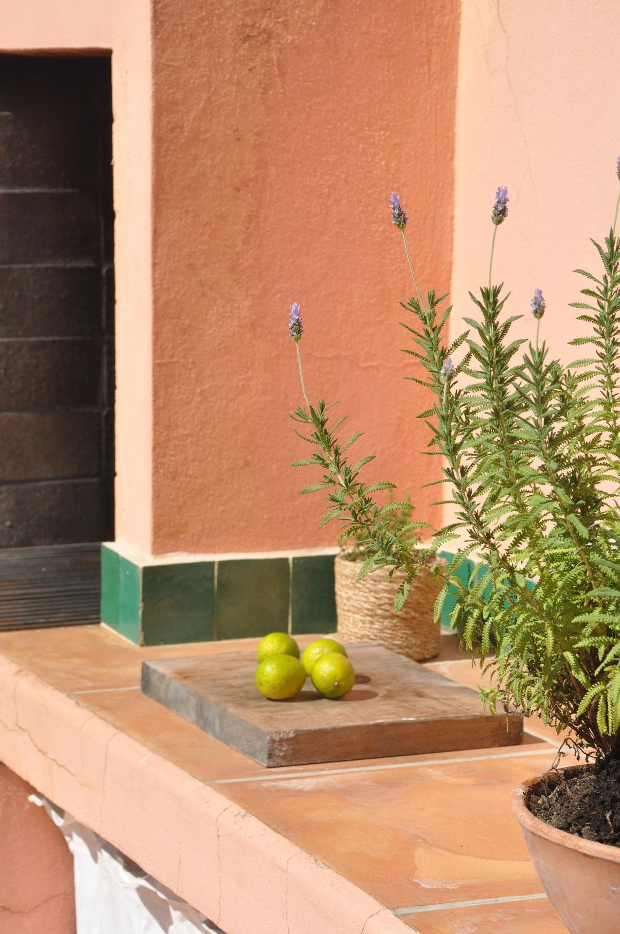 Modern 2 Bedroom Apartment in Prestigious Bendinat for seasonal rent - Gallery image 38