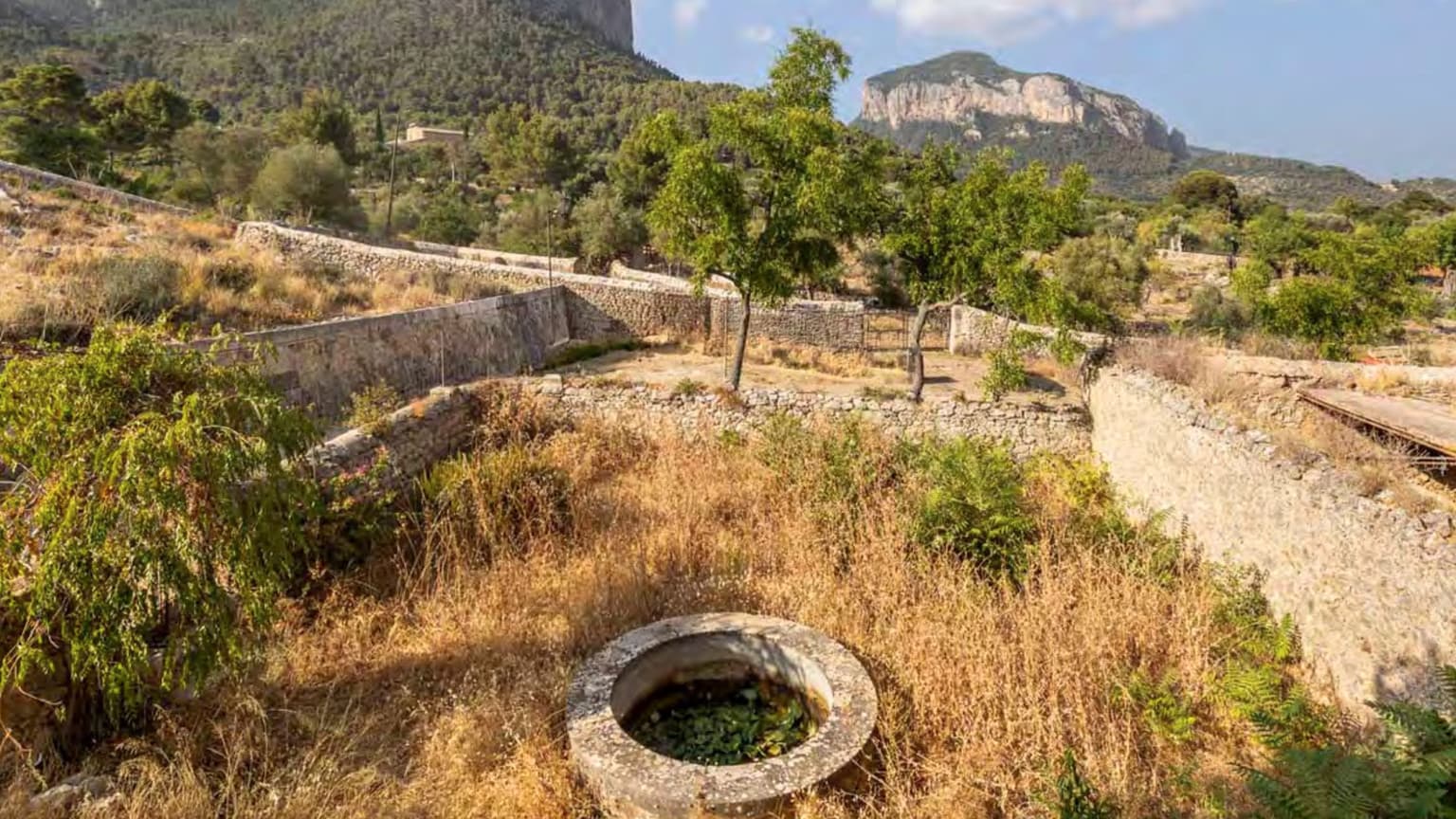 Historic Finca with Agrotourism Licence and 1,000 Olive Trees in Alaró - Gallery image 14